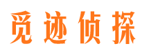 凌河市私家侦探